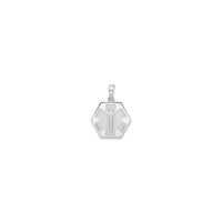 Caduceus Hexagon Medical Pendant (Silver) front - Popular Jewelry - New York