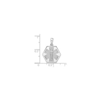 Caduceus Hexagon Medical Pendant (Silver) scale - Popular Jewelry - New York