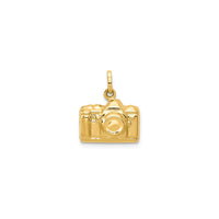 Tiny 3-D Camera Pendant (14K)