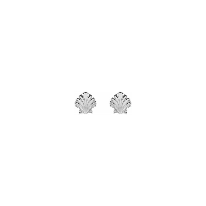Sea Shell Stud Earrings white (14K) front - Popular Jewelry - New York