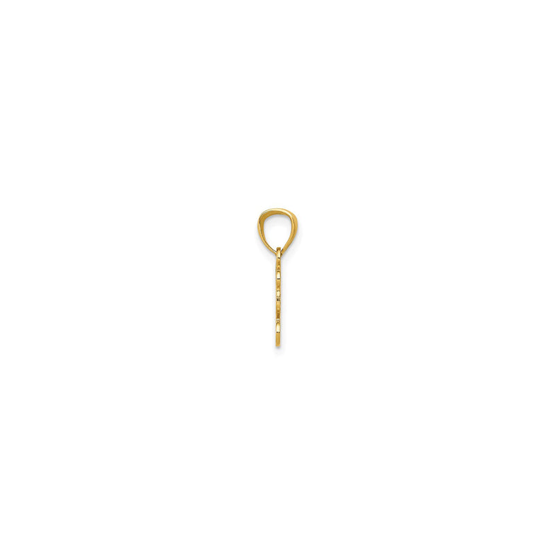 Festive Sleight Pendant (14K) side - Popular Jewelry - New York