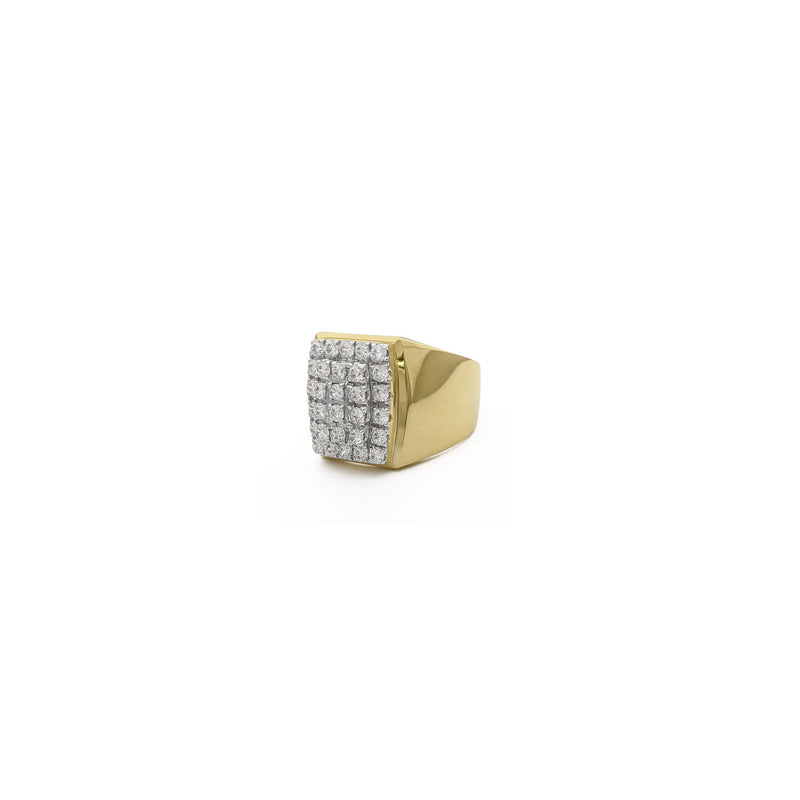 Icy Square Cluster Signet Ring (14K) side 1 - Popular Jewelry - New York