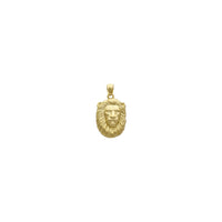 قلادة Lion Visage (14K) في الأمام - Popular Jewelry - نيويورك