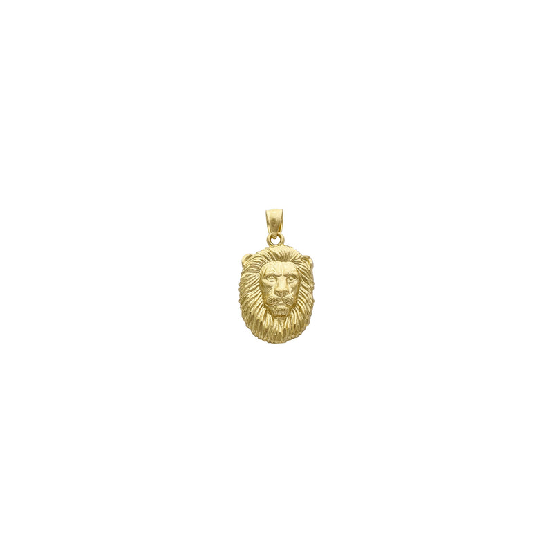 Lion Visage Pendant (14K) front - Popular Jewelry - New York