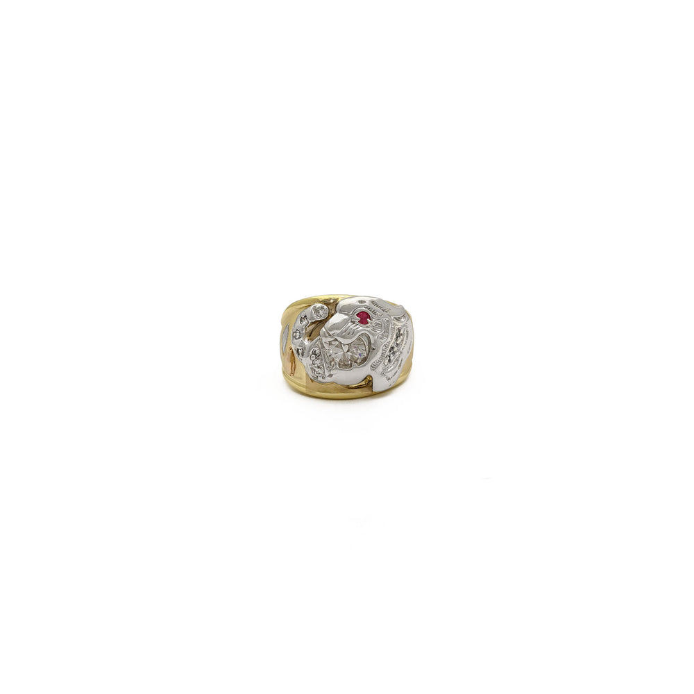 Speckled Crimson-Eyed Tiger Ring (14K) front - Popular Jewelry - New York
