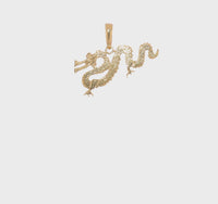 Textured Dragon Pendant (14K)