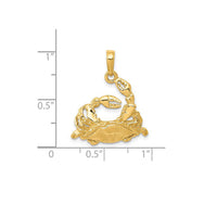 Cancer Zodiac Pendant (14K)
