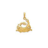 Cancer Zodiac Pendant (14K)