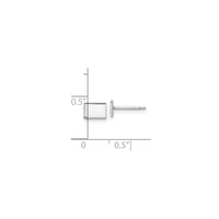 Colorado State Earrings