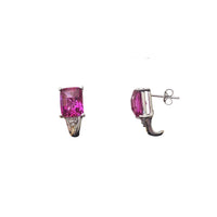 Cushion Hook CZ Earrings (10K)