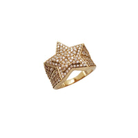Iced Out Double Star Zirconia Ring (14K)