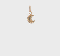 Crescent Moon 3D Pendant (14K) 360 - Popular Jewelry - New York