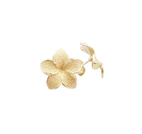 Textured Jasmine Flower Stud Earrings (14K)