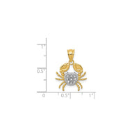 Ciondolo Zodiaco bicolore diamantato (14K)