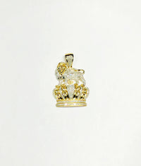 Aslan Tac King Kulon (10K)