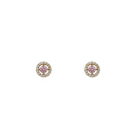 Round Stud Earrings (14K)