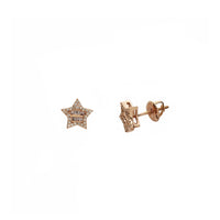 Diamond Star Earrings (14K)
