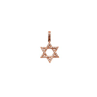 Diamond Star David Pendant (14K)