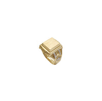 Two Tone Textured Signet Ring (14K)