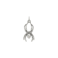 Senovinis pakabukas voras (sidabrinis) priekyje - Popular Jewelry - Niujorkas