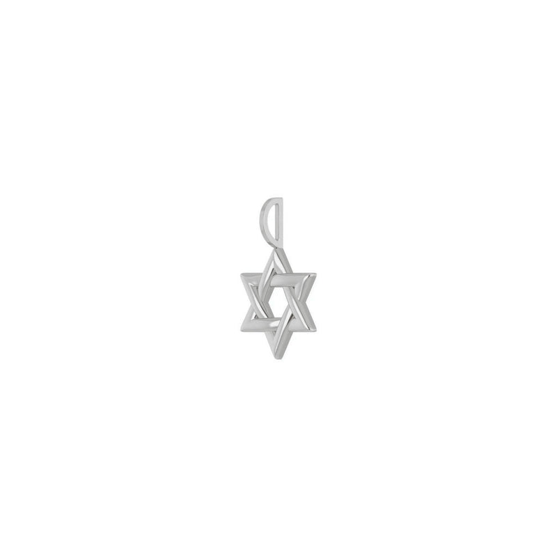 Intertwined Star of David Pendant (Silver) diagonal - Popular Jewelry - New York