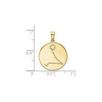 Pisces Zodiac Constellation Medal (Silver) scale - Popular Jewelry - New York