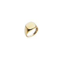Square Shaped Signet Ring (14K)