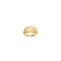 Stripes & Swirls Baby Rectangular Signet Ring (14K)