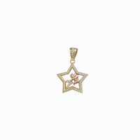 Lucky Star Pendant (14K)