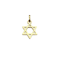 Star Of David Pendant (14K)