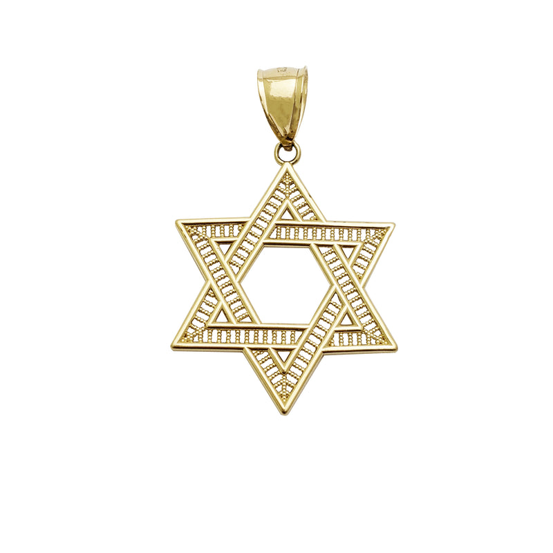 Star Of David Pendant (14K)