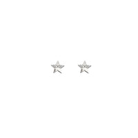 Cubic Zirconia Star Earrings (14K)