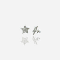 Diamond Star Stud Earrings (10K)
