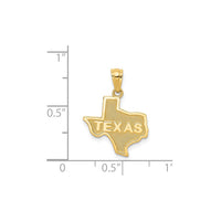 Texas Pendant (14K)