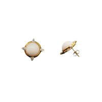 White Coral Stud Earrings (14K)
