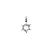 Diamond Star David Pendant (14K)