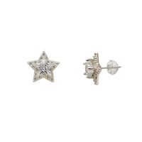 Cluster Star Stud Earring (14K)