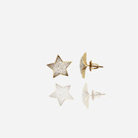 Diamond Star Stud Earrings (14K)